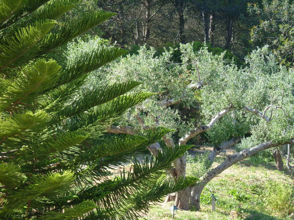 Casal Das Oliveiras Setúbal Exterior foto